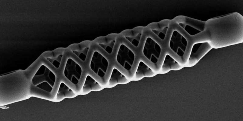 The world’s smallest stent