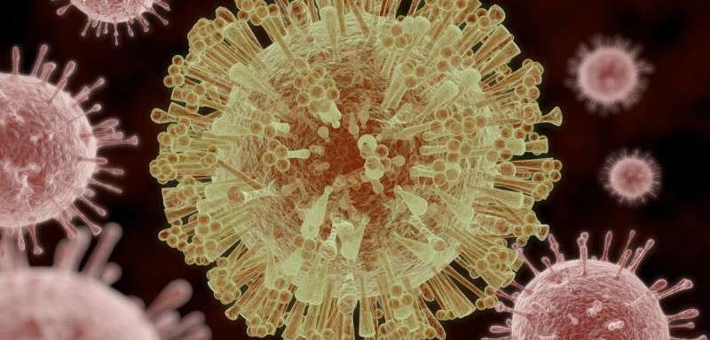 The Zika virus discovered on the African continent