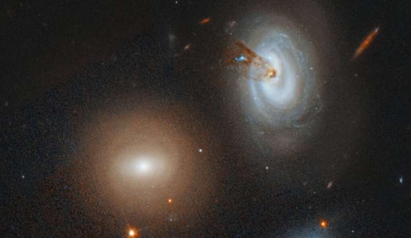 This galaxy is no match for a hungry cluster