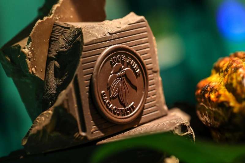This photo released by Barry Callebaut shows a new type of chocolate made from the entire cacao fruit, not just the seeds