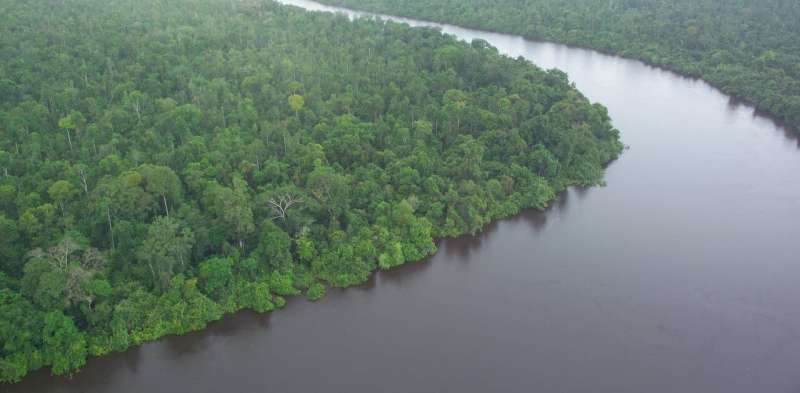 Three benefits of Indonesia's permanent ban on forest clearance