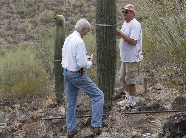 Topography could save sensitive saguaros as climate changes