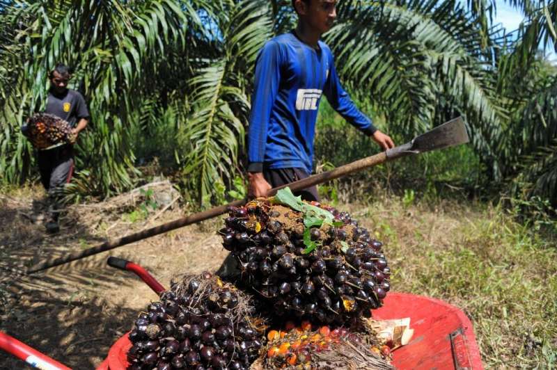 Total argued that it was unfair to single out palm oil