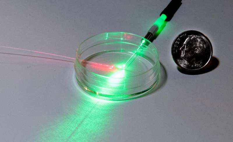 Tracking lab-grown tissue with light