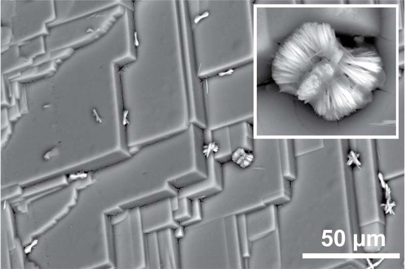 Treating solar cell materials reveals formation of unexpected microstructures