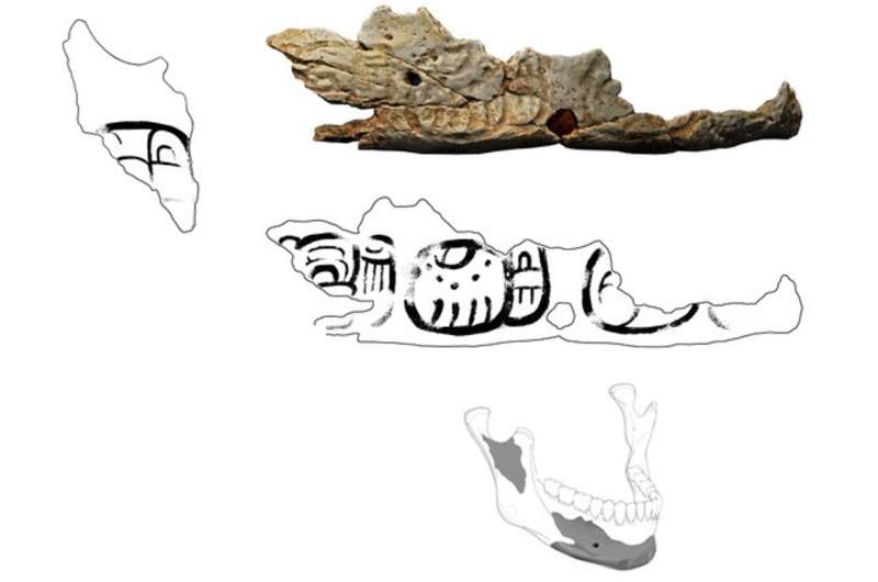 Trophies made from human skulls hint at regional conflicts around the time of Maya civilization's mysterious collapse