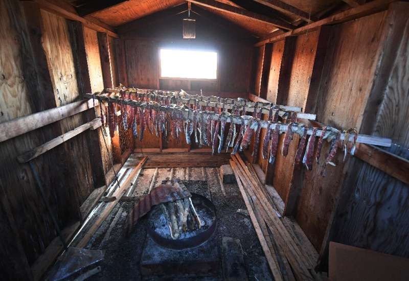 Trout being smoked in the town of Quinhagak in Alaska, where warming temperatures are wreaking havoc on indigenous people and th