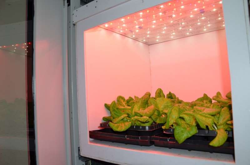 TSU has created the conditions for growing plants in the Arctic
