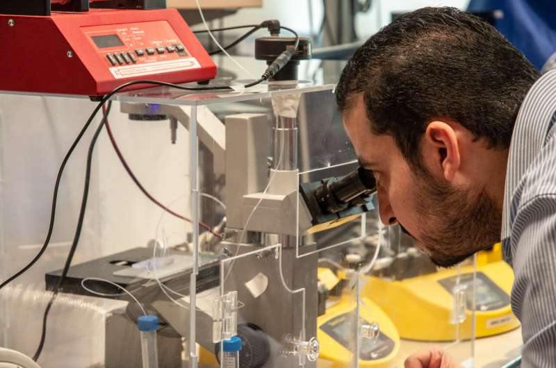 UBC Okanagan engineers make injectable tissues a reality
