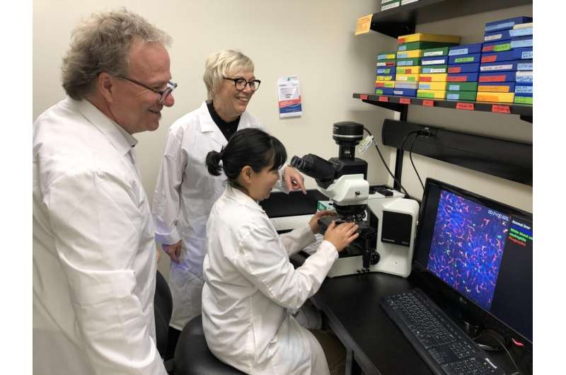 UCalgary researchers find a way to stop lung damage due to the body's immune response