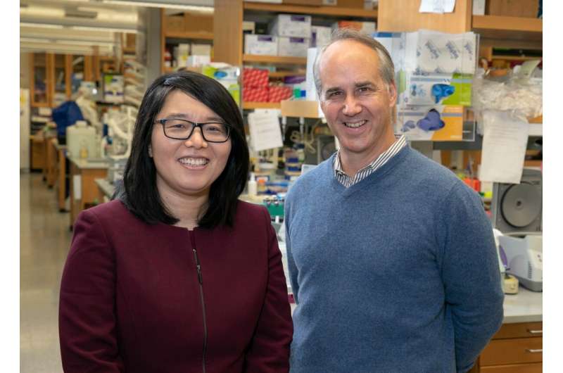 UCLA-led team uncovers critical new clues about what goes awry in autistic brains