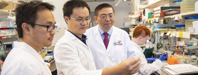 UC research finds potential target for tumor-causing condition
