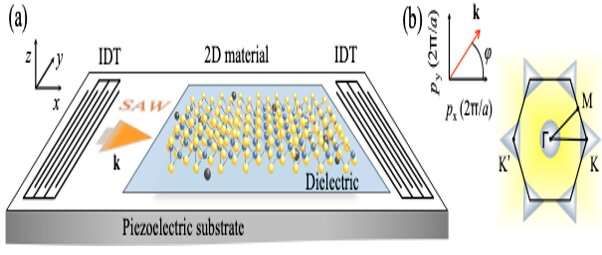 Unconventional phenomena triggered by acoustic waves in 2D materials