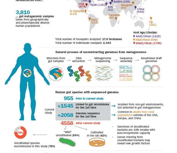 Uncovering uncultivated microbes in the human gut