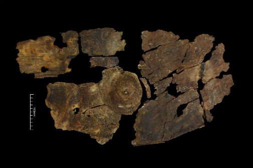 Unique Iron Age shield gives insight into prehistoric technology