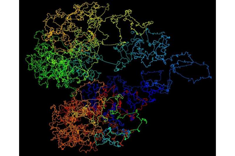 Unraveling links to possible origins, better treatment for genetic disorders