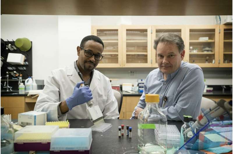 UVA discovers secret to making immune cells better cancer killers