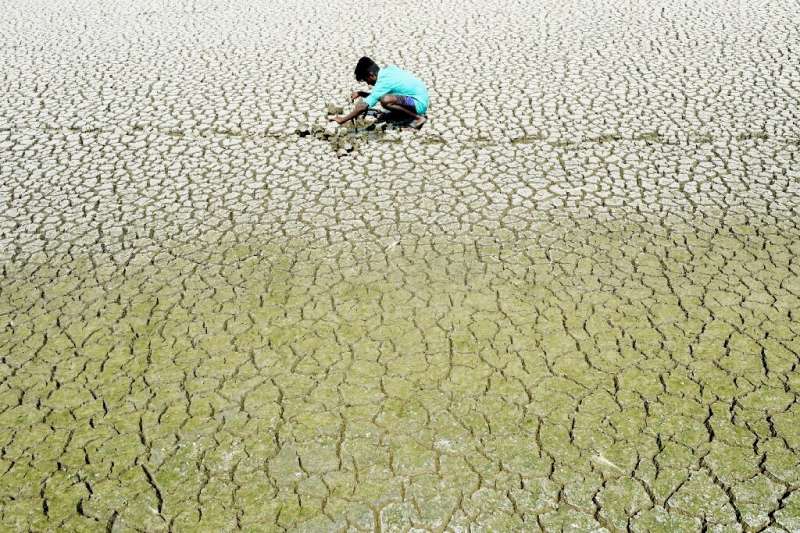 Vast swathes of India have been sweltering in extreme temperatures with the delayed onset of the monsoon rains adding to farmers
