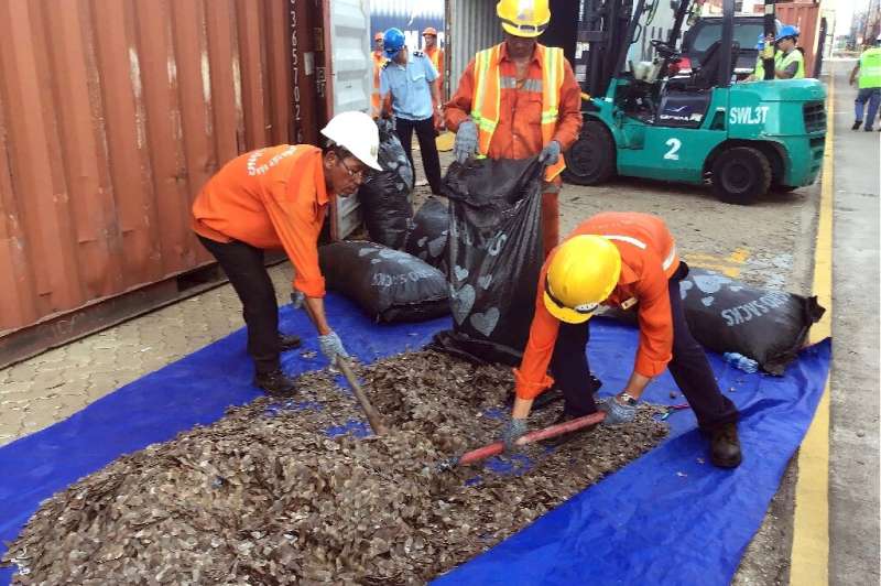 Vietnam confirmed the haul and also announced a separate seizure of 8.3 tonnes of pangolin scales from 'an African country' in t