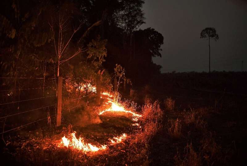 View of fire in the Amazon rainforest, near Abuna, Rondonia state, Brazil, on August 24, 2019