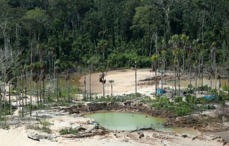 View of the deforested area around a now-dismantled illegal mining camp in the Peruvian Amazon