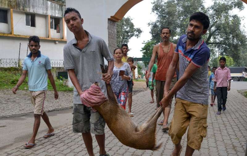 Villagers carry a deer after rescuing it from floodwaters in Kaziranga National Park