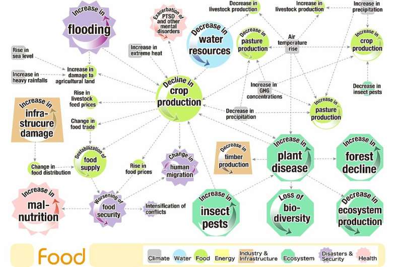 Visualizing the interconnections among climate risks
