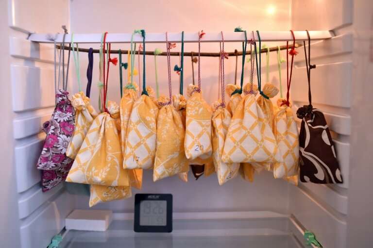Volunteers at the Minsk rescue centre place the bats inside cloth bags and hang them up in a domestic fridge which offers the pe