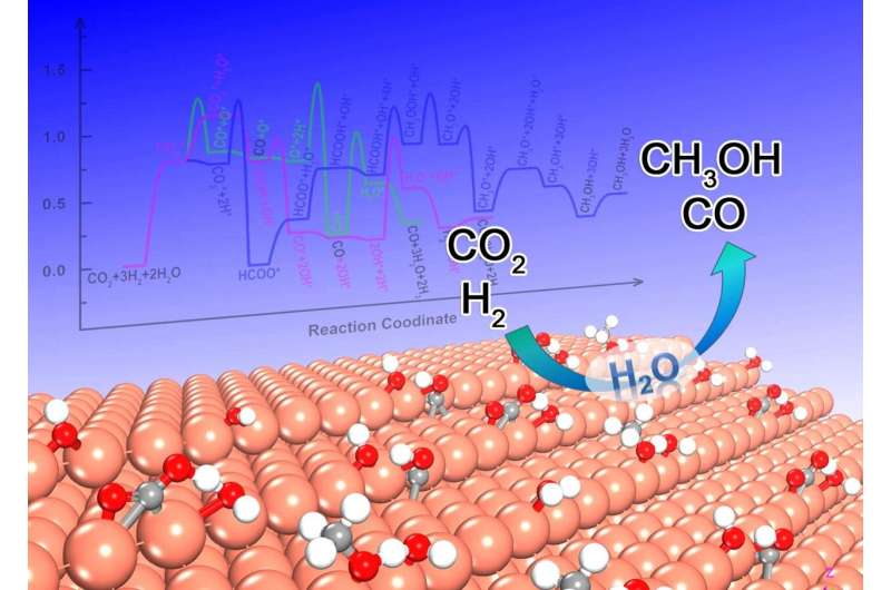 Water could modulate the activity and selectivity of CO2 reduction