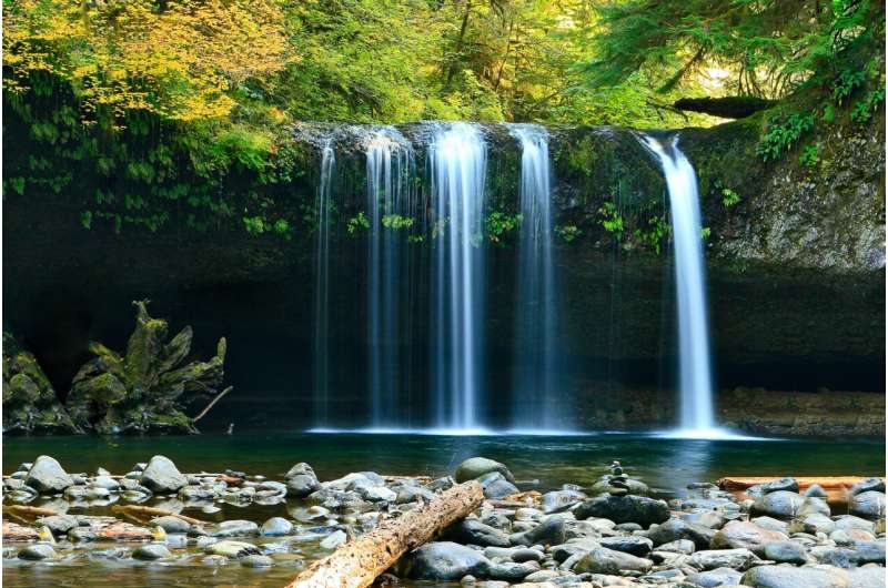 Waterfall illusion: when you see still objects move – and what it tells you about your brain