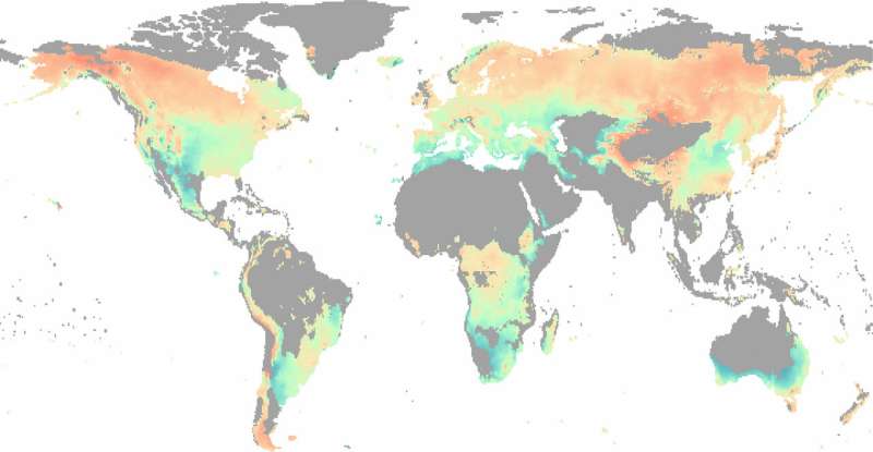 Water, not temperature, limits global forest growth as climate warms