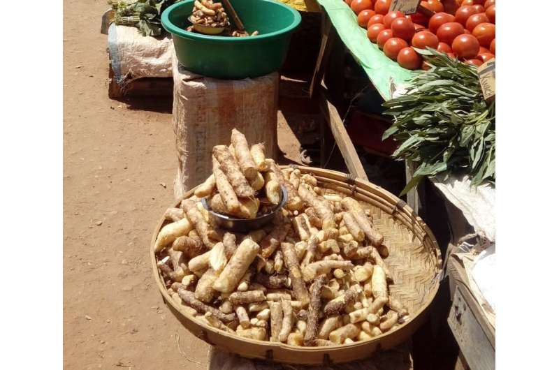 We revealed the value of Zambia's wild yam. Why it matters