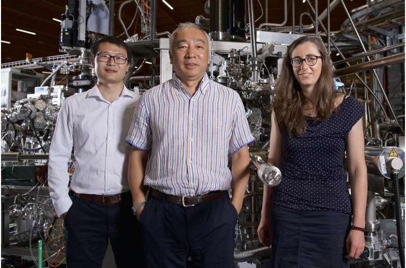 Weyl fermions discovered in another class of materials