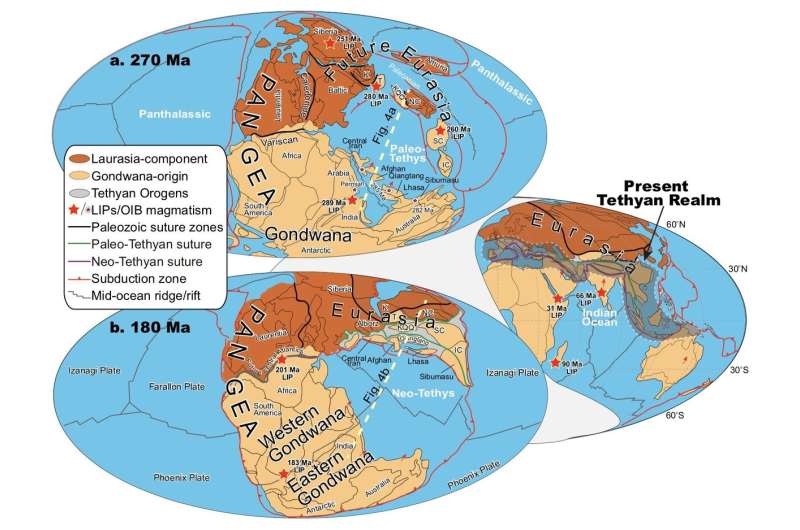 What drives plate tectonics?
