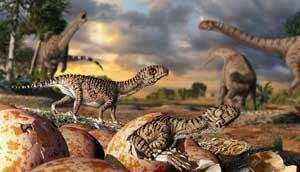 What the world's oldest eggs reveal about dinosaur evolution