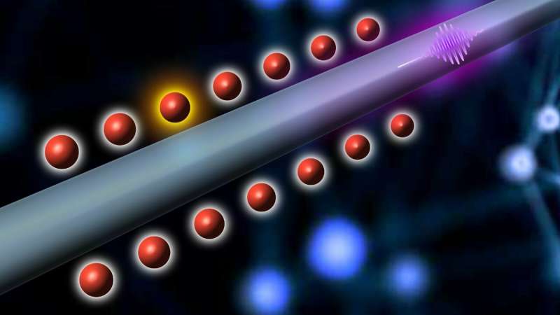 When cold atoms meet nano: a wired quantum node