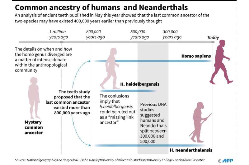 When humans and Neanderthals diverged