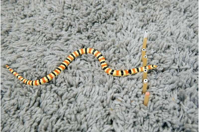 When sand-slithering snakes behave like light waves