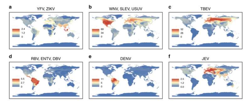Where will the world's next Zika, West Nile or Dengue virus come from?
