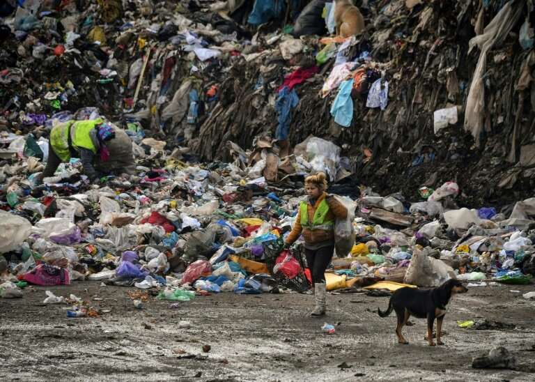 Whole families subsist from the income they make from recyclable waste that they pick from the rubbish heap