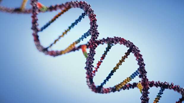 Why do certain faulty genes only cause cancer in some parts of the body?