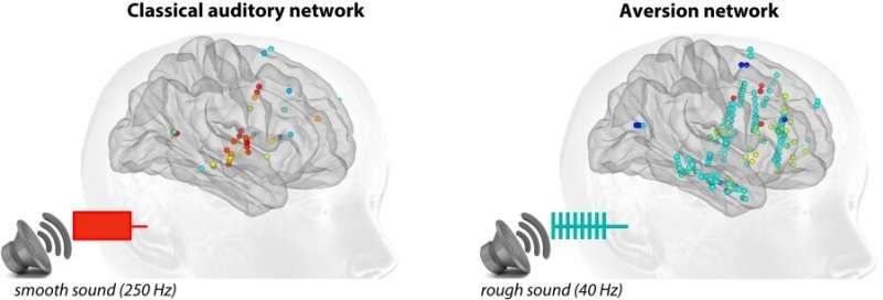 为什么大脑被严酷的声音所扰乱？