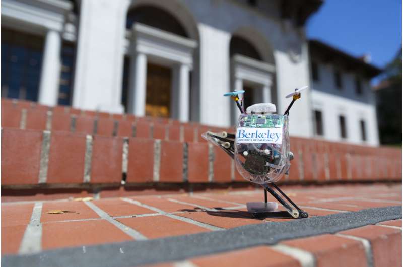 With a hop, a skip and a jump, high-flying robot leaps through obstacles with ease