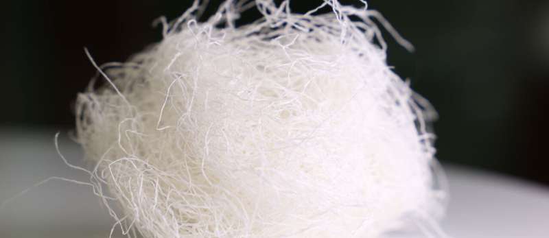 **Wood-based fibre captures hormones from wastewater