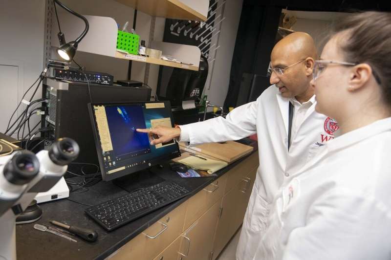 WPI biologist's discovery gives evolution clues and may affect drug interaction research