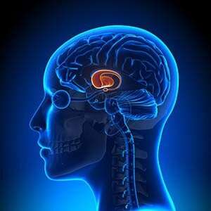 Yale study uses real-time fMRI to treat Tourette Syndrome