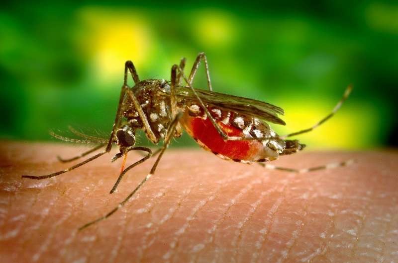 Zika study may 'supercharge' vaccine research