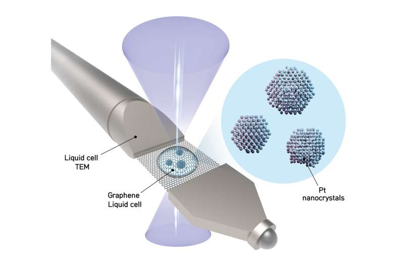 3D reconstructions of individual nanoparticles