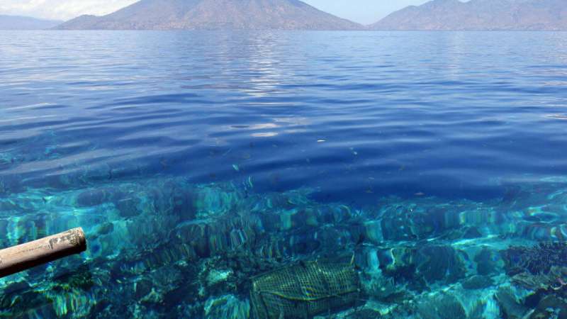 40,000 years of adapting to sea-level change on Alor Island