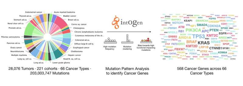 568 genes identified with the potential to trigger cancer